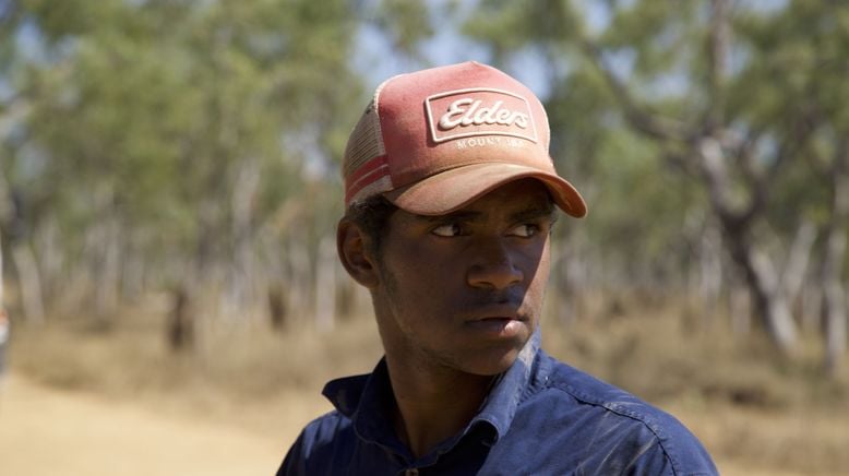 Outback Cowboys - Wilde Bullen, harte Kerle