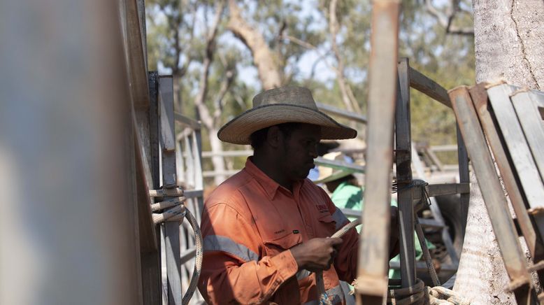 Outback Cowboys - Wilde Bullen, harte Kerle