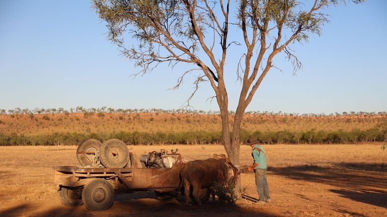 Outback Cowboys - Wilde Bullen, harte Kerle