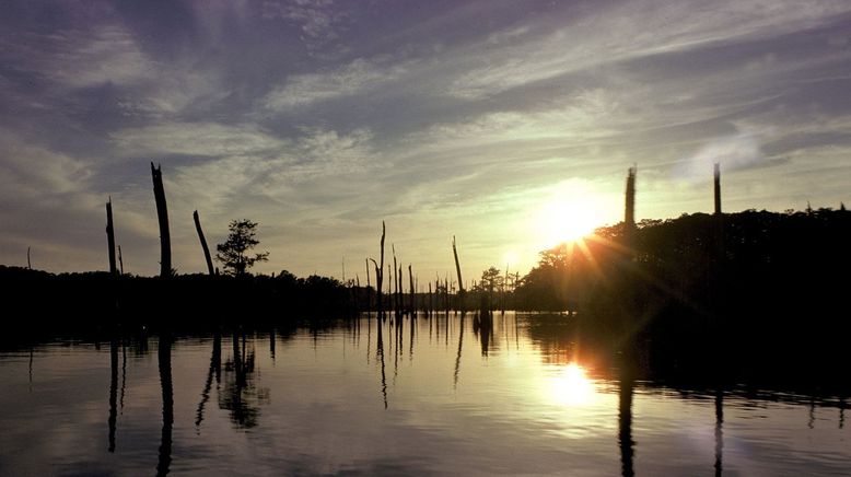 Ol' Man River - Mächtiger Mississippi