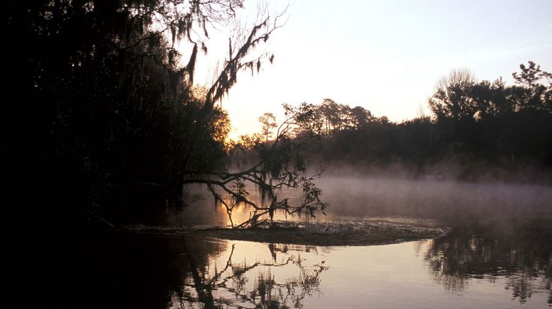 Ol' Man River - Mächtiger Mississippi