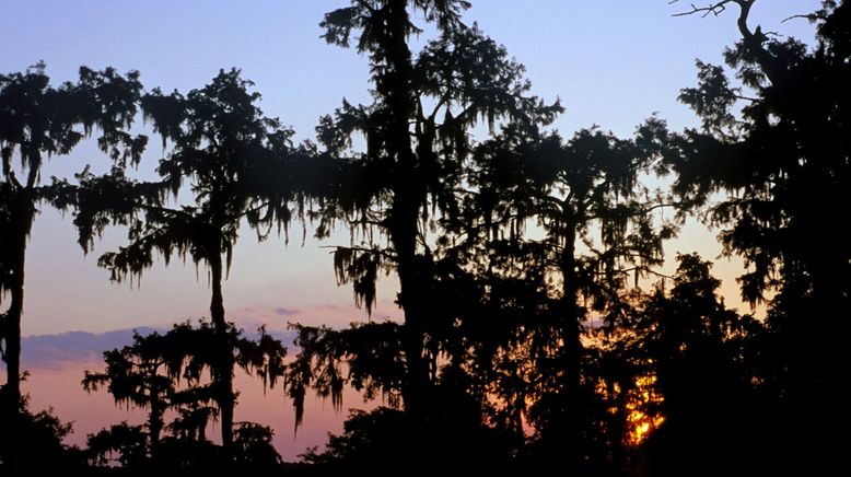 Ol' Man River - Mächtiger Mississippi