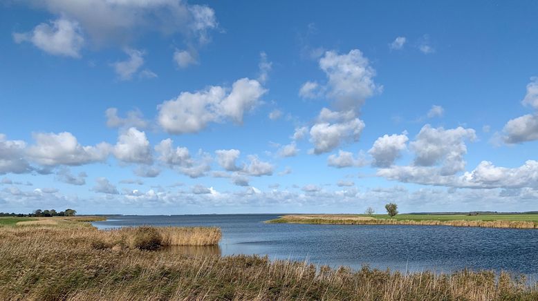 Die Ostsee, Sehnsuchtsort der Kraniche