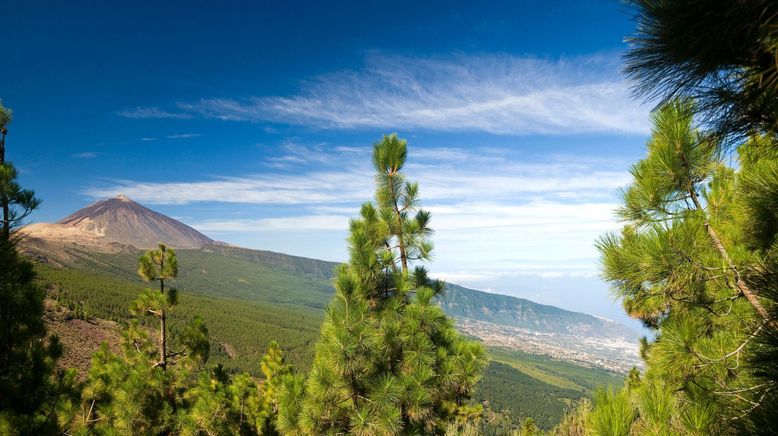 Nachhaltig unterwegs auf Teneriffa