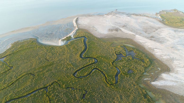 Mexikos magische Tierwanderungen