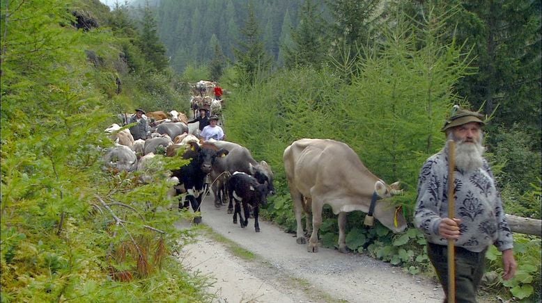 Wildes Ötztal