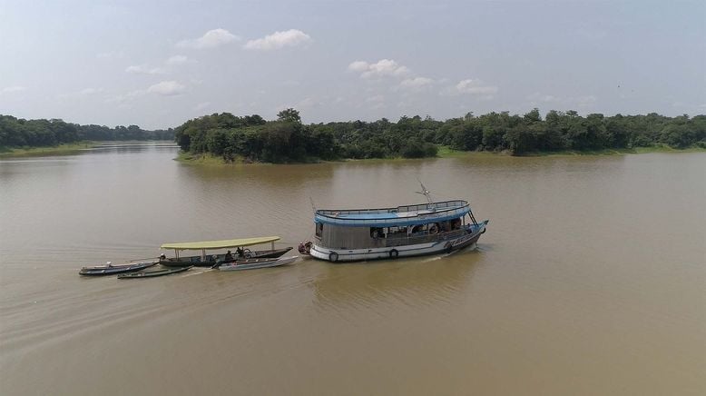 Arapaima, der Riesenfisch vom Amazonas