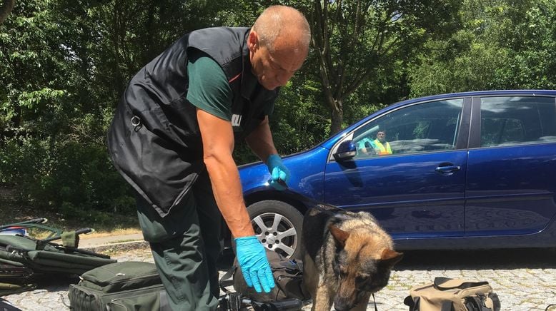 Partner mit Supernase - Hunde im Einsatz für den Menschen