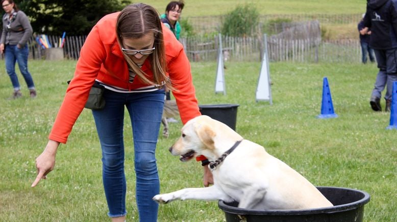 Partner mit Supernase - Hunde im Einsatz für den Menschen