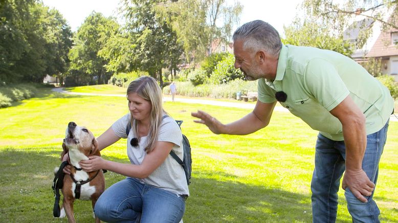 Hundebegegnungen entspannt gestalten