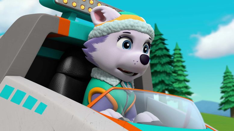 Paw Patrol: Helfer auf vier Pfoten