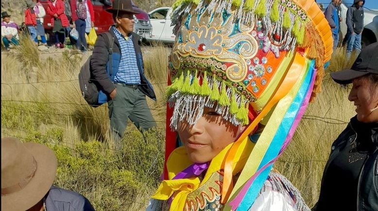 Peru, das Goldhaar der Vikunjas