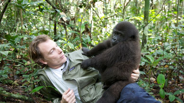 Die Gorilla-Schule