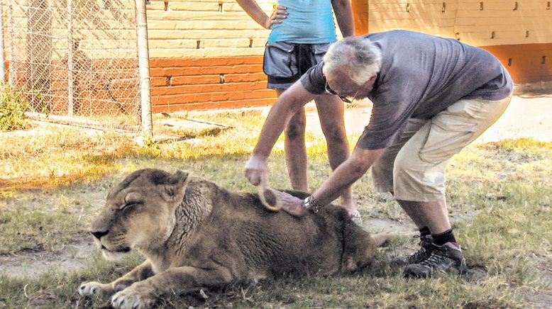 Das Waisenhaus für wilde Tiere