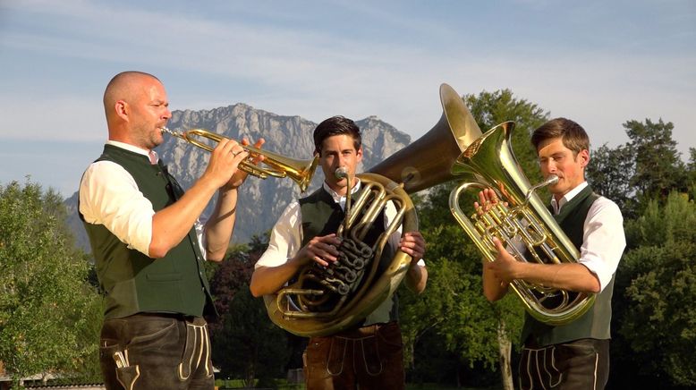 Leben am Traunsee