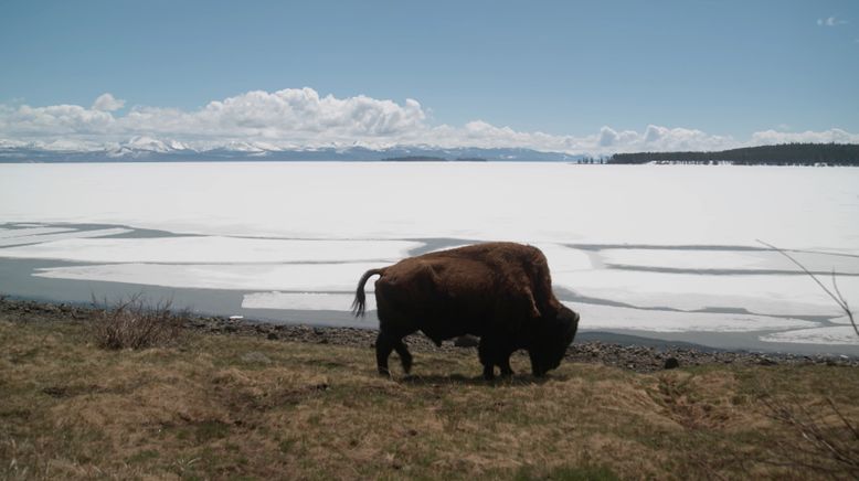 Wyoming - Im einsamen Herzen Amerikas