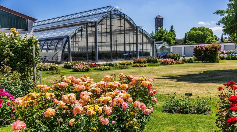 Rasch durch den Garten - Gärtnern für jedermann