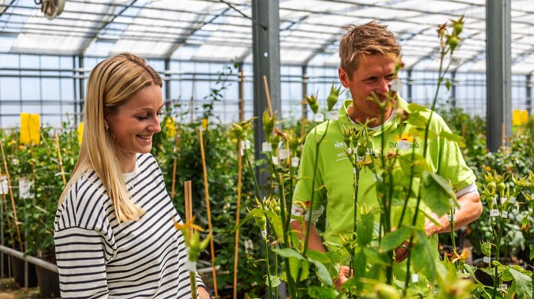 Rasch durch den Garten - Gärtnern für jedermann