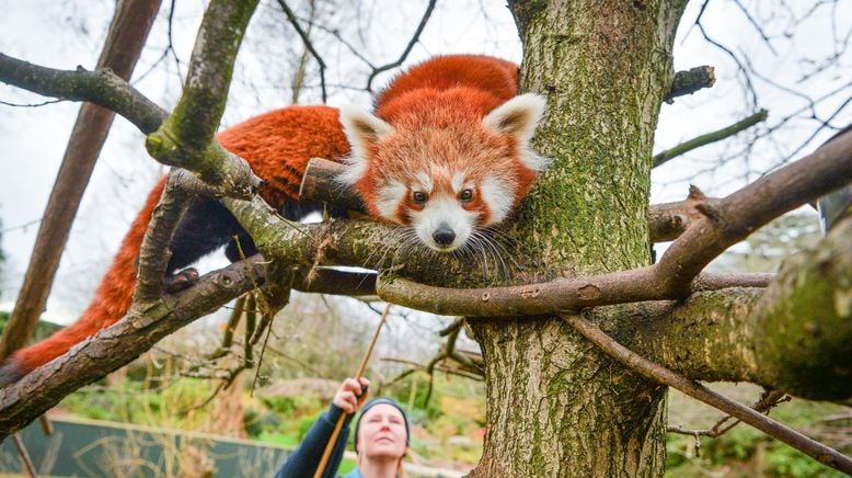 Zoo und so - Tierisch wild!