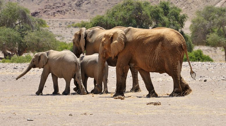 Die wilden Flüsse Afrikas