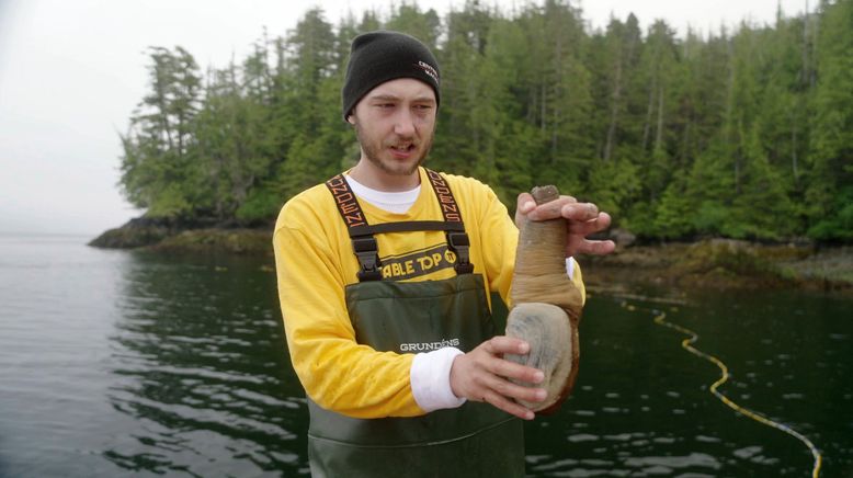 Vancouver Island - Eine Insel, ganz Kanada