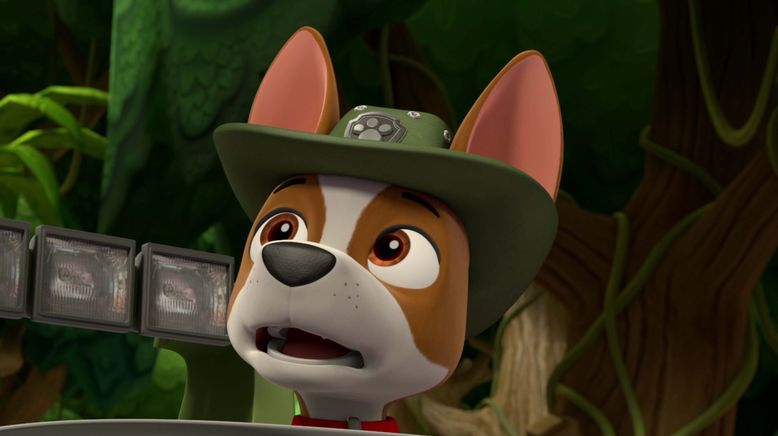 Paw Patrol: Helfer auf vier Pfoten