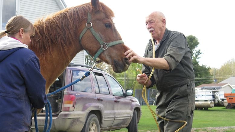 Der unglaubliche Dr. Pol