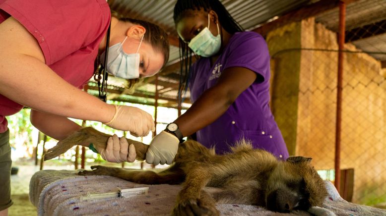 Malawi Wildlife-Rescue