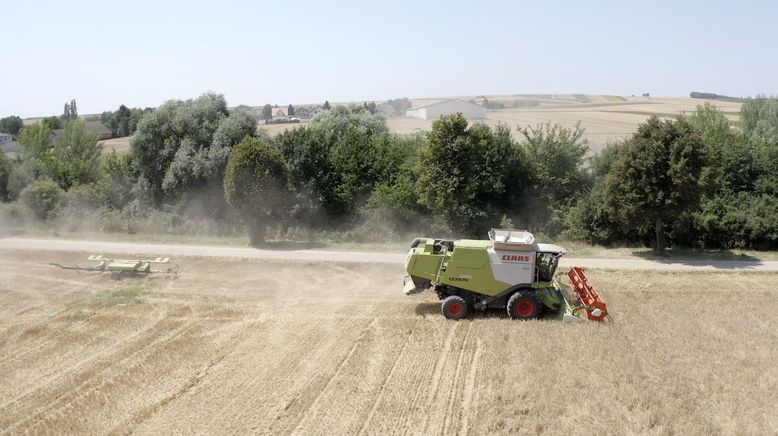 Magere Jahre? Wie wir uns in Zukunft ernähren können