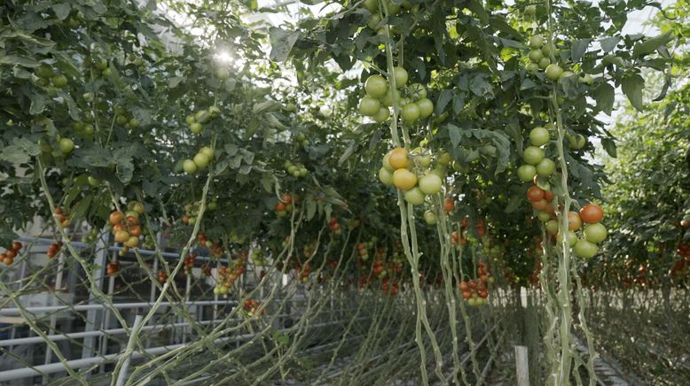 Magere Jahre? Wie wir uns in Zukunft ernähren können