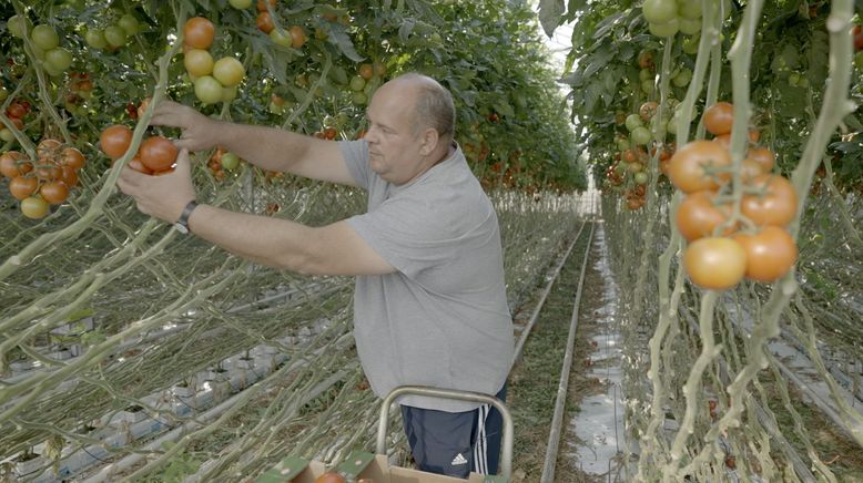 Magere Jahre? Wie wir uns in Zukunft ernähren können