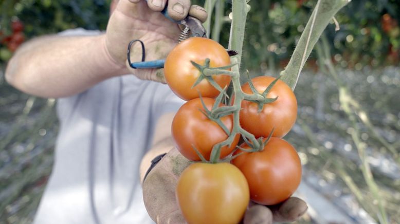 Magere Jahre? Wie wir uns in Zukunft ernähren können