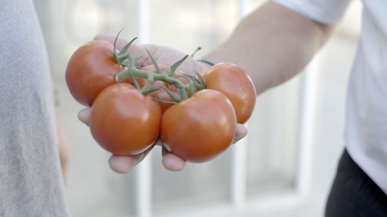 Magere Jahre? Wie wir uns in Zukunft ernähren können