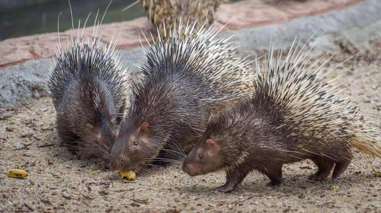 Kanada: Ein Jahr in der Wildnis