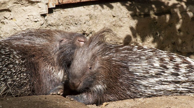 Kanada: Ein Jahr in der Wildnis