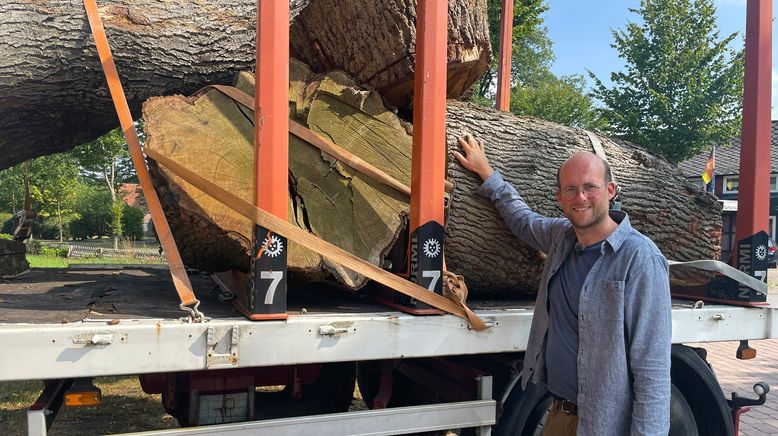 Aus Liebe zum Holz - Nachhaltig tischlern