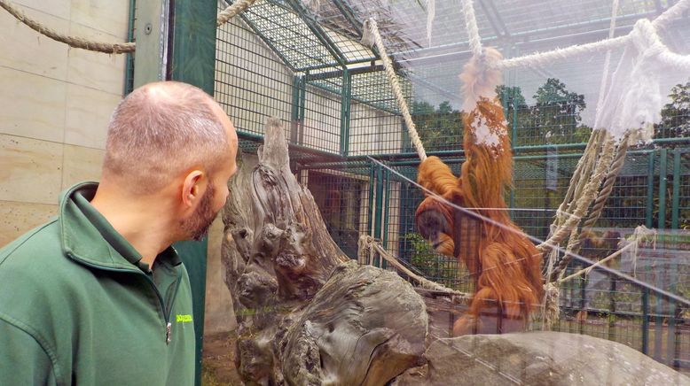 Zootiere: Leiden hinter Gittern?