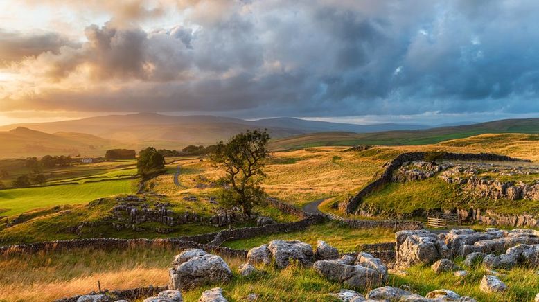 Yorkshire: Ein Jahr in der Wildnis