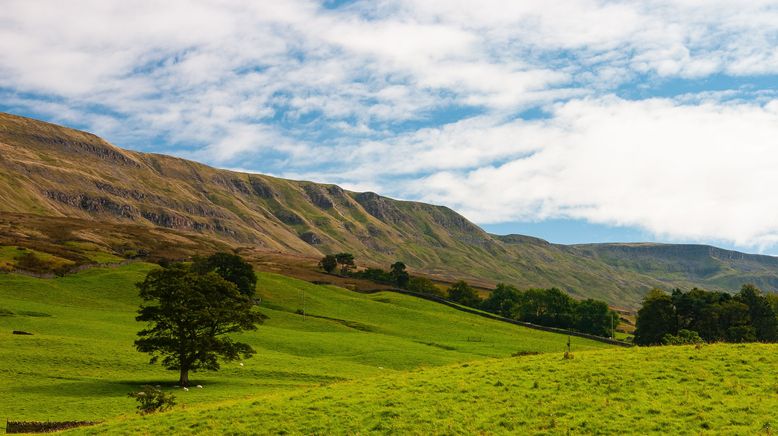 Yorkshire: Ein Jahr in der Wildnis