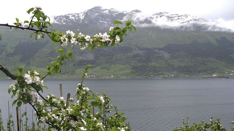 Norwegen: Leben am Hardangerfjord