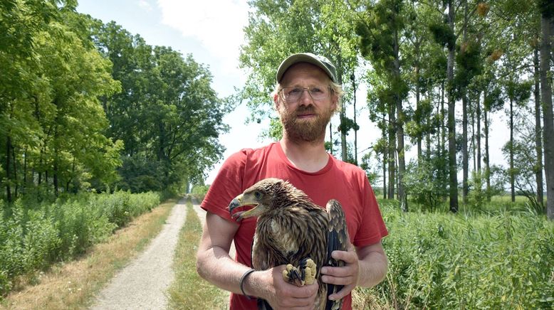 Kaiseradler in Gefahr - Auf der Spur der Wilderer