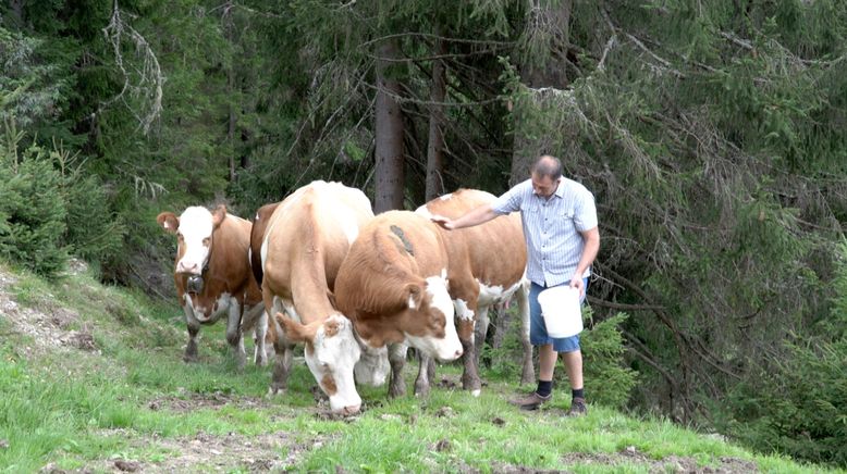 Österreichs Bergdörfer