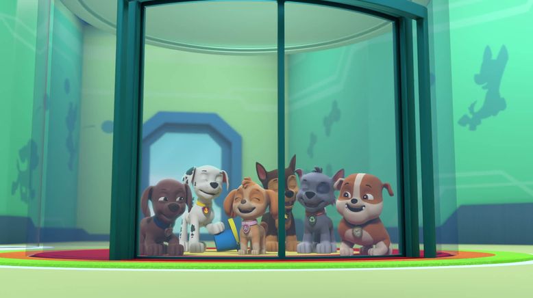 Paw Patrol: Helfer auf vier Pfoten