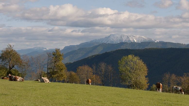 Rund um den Ötscher - Im Mostviertel und Mariazellerland