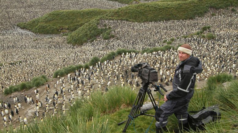 Die Rettung der Pinguin-Insel