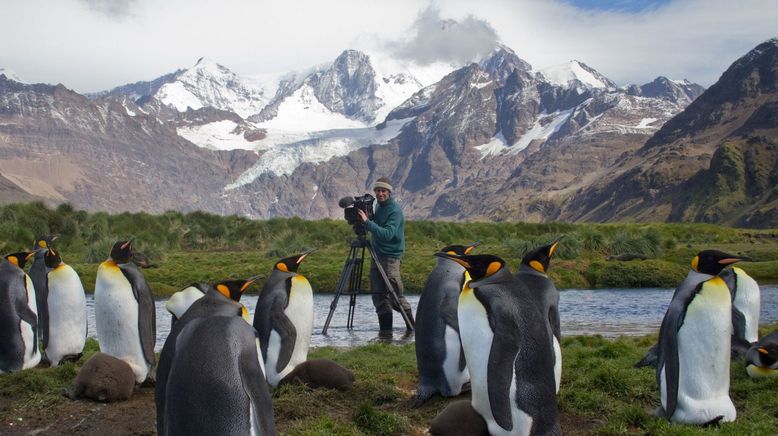 Die Rettung der Pinguin-Insel