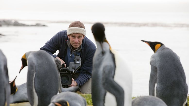 Die Rettung der Pinguin-Insel