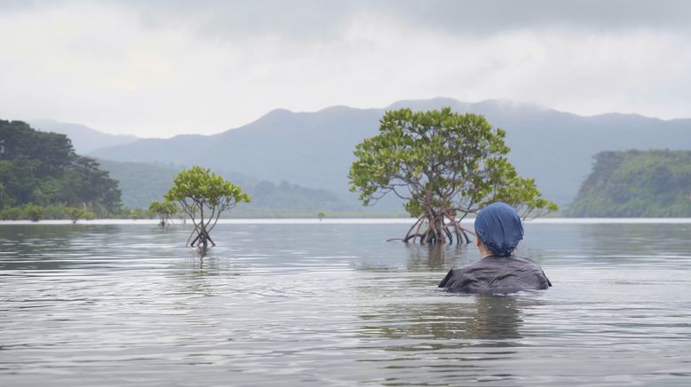 Iriomote - Japans tropisches Paradies