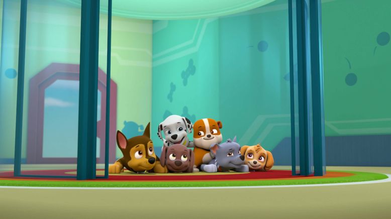 Paw Patrol: Helfer auf vier Pfoten