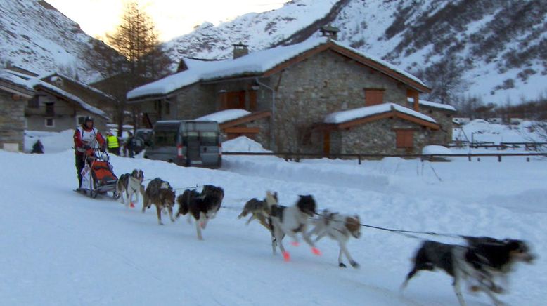 Lara rennt - Schlittenhunde am Mont Blanc